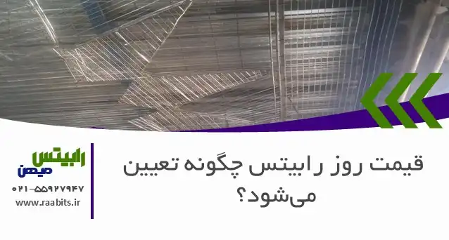 قیمت روز رابیتس چگونه تعیین میشود؟ رمزگشایی از عوامل کلیدی