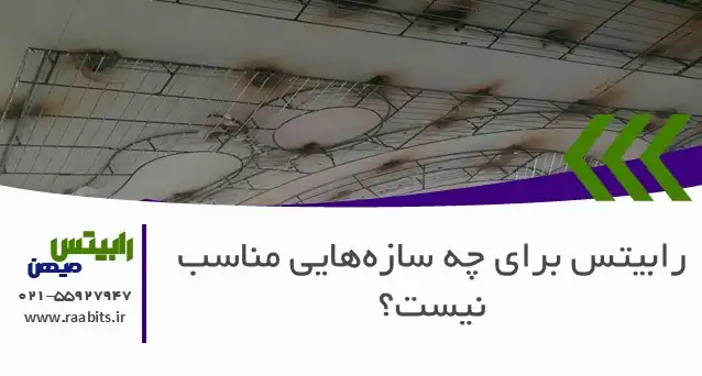 رابیتس برای چه سازههایی مناسب نیست؟ خط قرمزهای استفاده از راویز