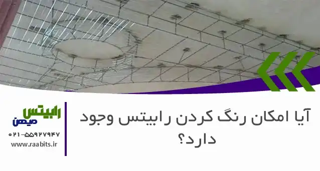آیا امکان رنگ کردن رابیتس وجود دارد؟ راهنمای کامل رنگ‌آمیزی برای افزایش طول عمر و زیبایی