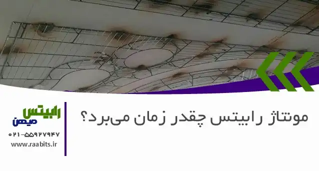 مونتاژ رابیتس چقدر زمان می‌برد؟ برآورد زمان و هزینه در پروژه‌های ساختمانی