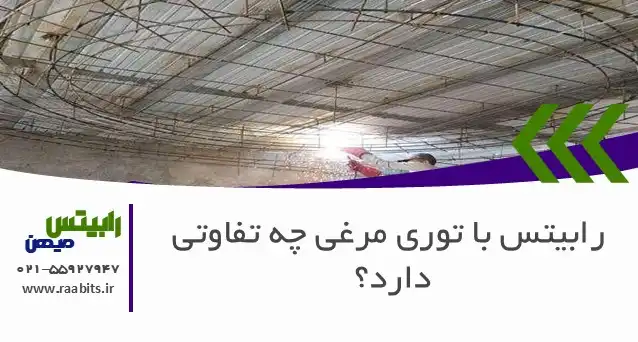 رابیتس با توری مرغی چه تفاوتی دارد؟ انتخاب درست برای پروژه شما